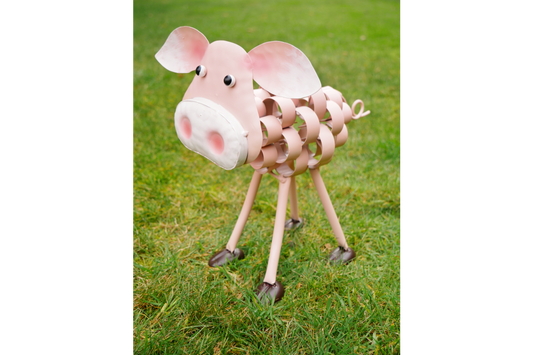 Pig