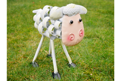 Sheep