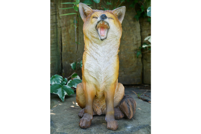 Fox