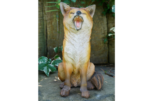 Fox