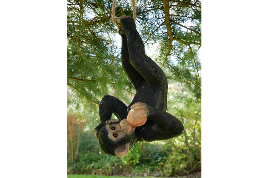 Climbing Monkey