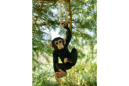 Climbing Monkey