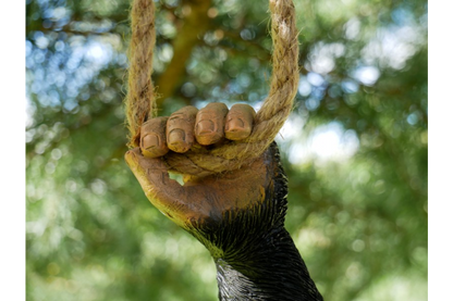 Climbing Monkey