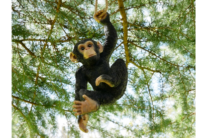 Climbing Monkey