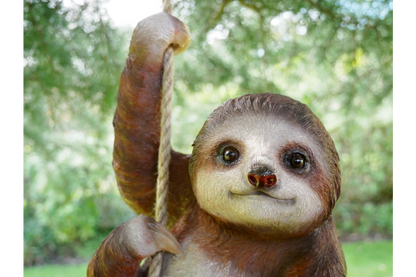 Climbing Sloth