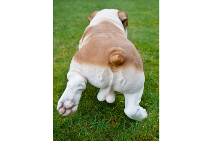 Bulldog