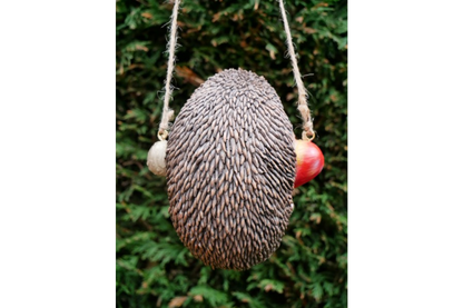 Hanging Hedgehog