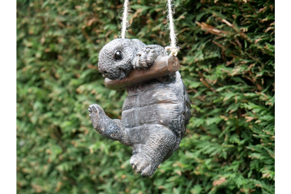 Hanging Tortoise