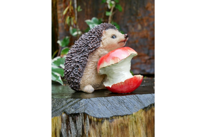 Hedgehog