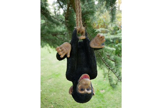 Climbing Monkey