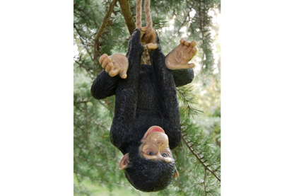 Climbing Monkey