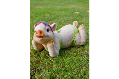 Pig In Bikini