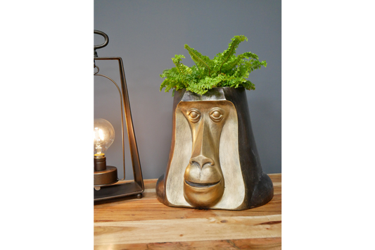 Monkey Head Pot