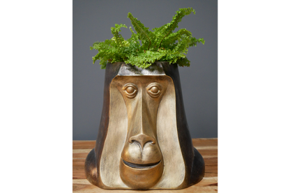 Monkey Head Pot