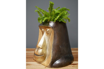 Monkey Head Pot