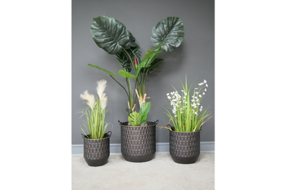Set of 3 Planters
