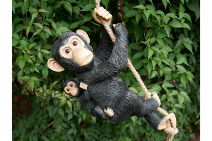 Hanging Monkey & Baby