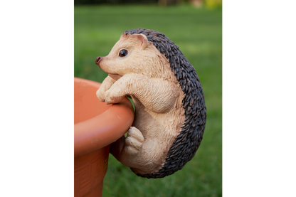 Pot Hanging Hedgehog