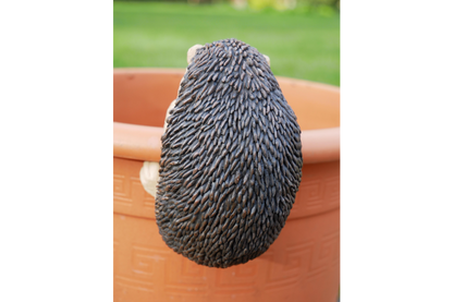 Pot Hanging Hedgehog