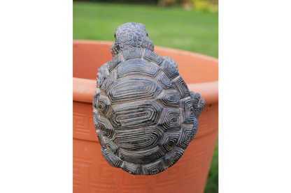 Pot Hanging Tortoise