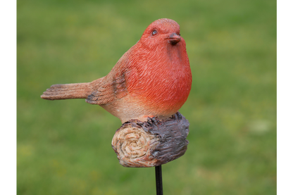 Robin On Stake