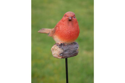 Robin On Stake