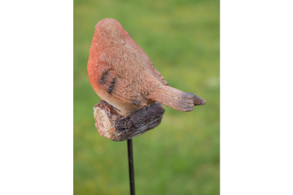 Robin On Stake