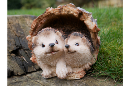 Hedgehogs In Log