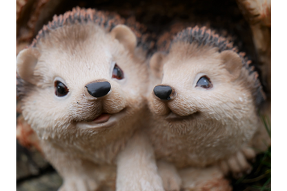 Hedgehogs In Log