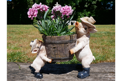 Pig Planter