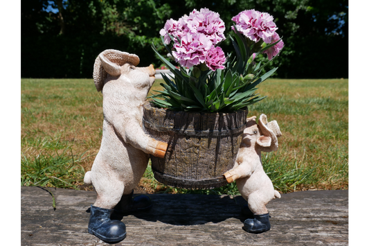Pig Planter
