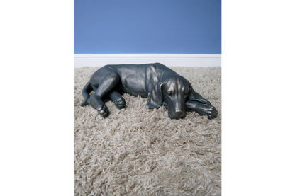 Laying Dog