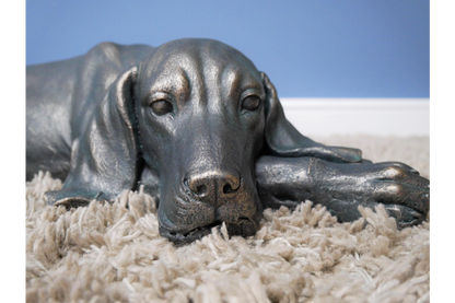 Laying Dog