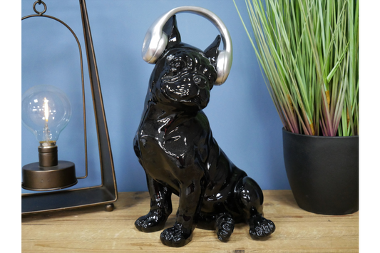 Dog With Headphones