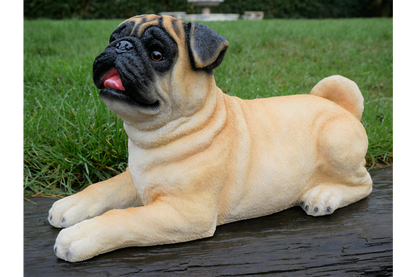 Laying Dog