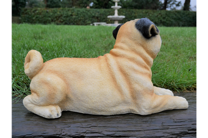 Laying Dog