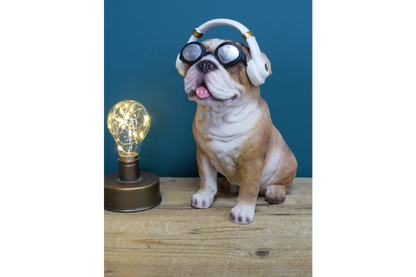 Dog With Headphones
