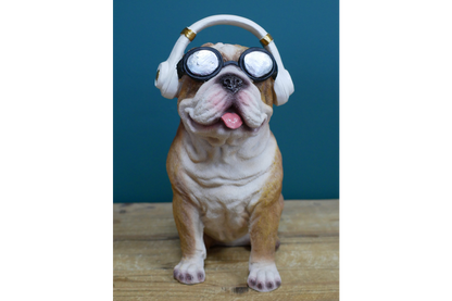 Dog With Headphones