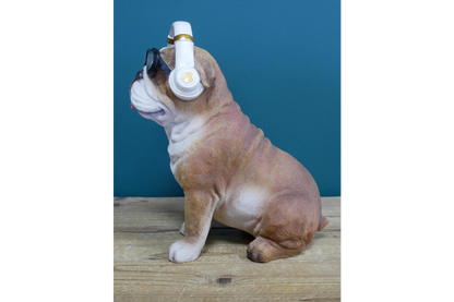 Dog With Headphones