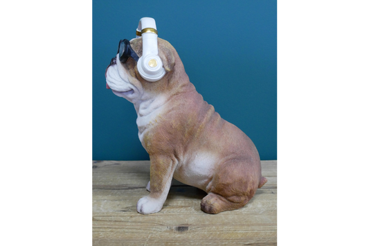 Dog With Headphones