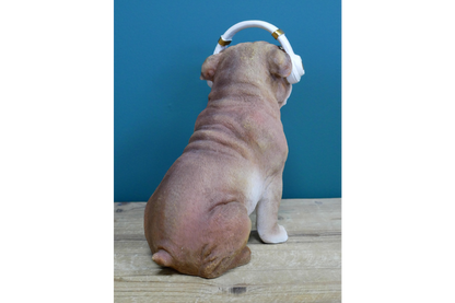 Dog With Headphones