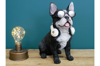 Dog With Headphones
