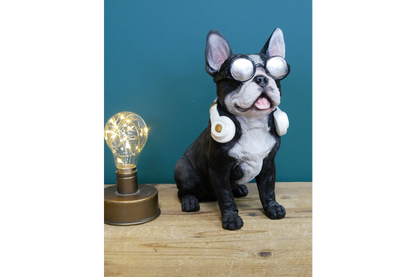 Dog With Headphones