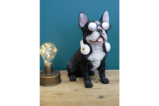 Dog With Headphones