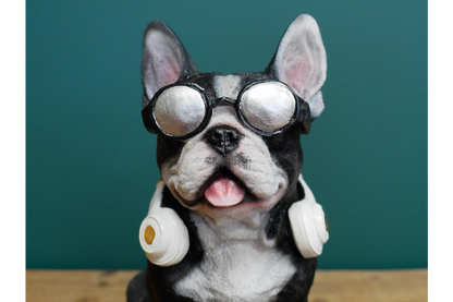 Dog With Headphones