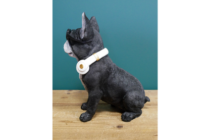 Dog With Headphones