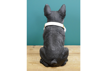 Dog With Headphones