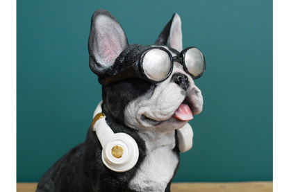 Dog With Headphones