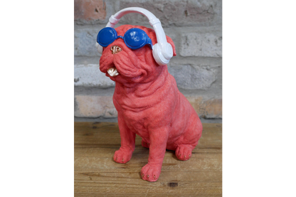 Dog With Headphones