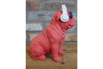 Dog With Headphones